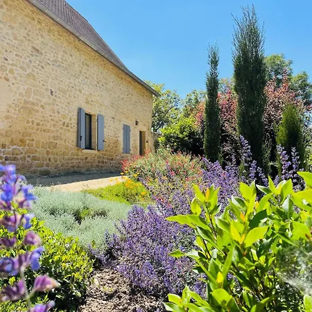 Villa Domaine-charme-piscine-domme